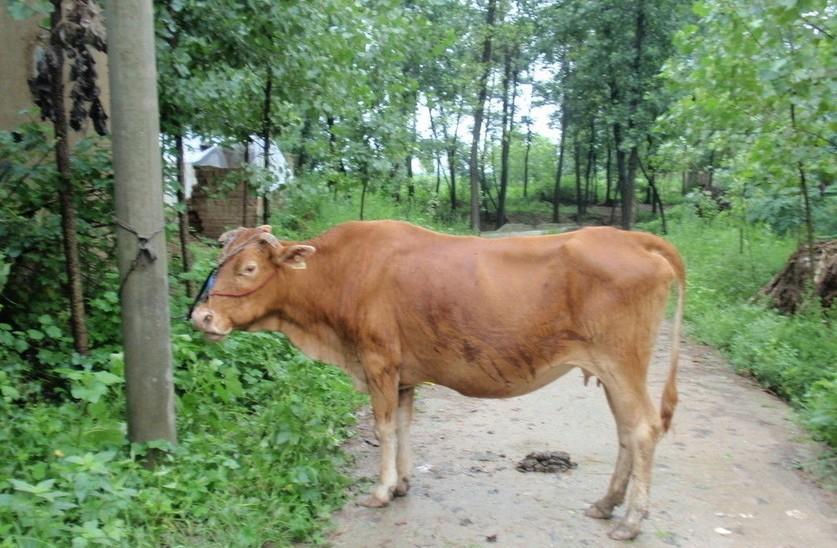 浙江最新求一个套医保卡的黄牛是真的吗方法分析(最方便真实的浙江求一个套医保卡的黄牛是真的吗还是假的方法)